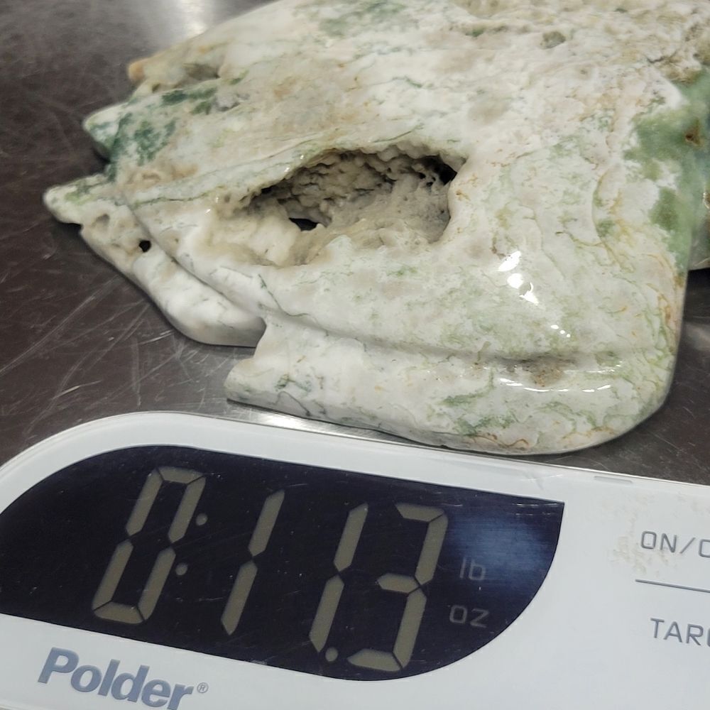 Moss Agate Sea Turtle‎ - Picture 5 of 5